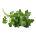 кінза